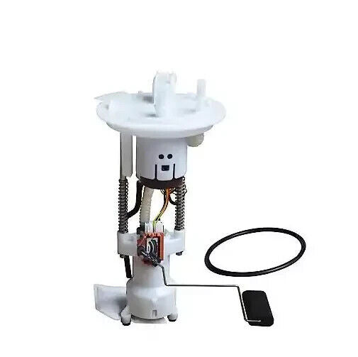 Carquest Premium Fuel Pump Module Assembly M2496129: Fuel Pump, Sending Unit